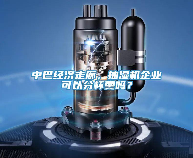 中巴經濟走廊，抽濕機企業可以分杯羹嗎？