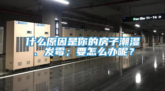 什麽原因是你的房子潮濕、發黴；要怎麽辦呢？