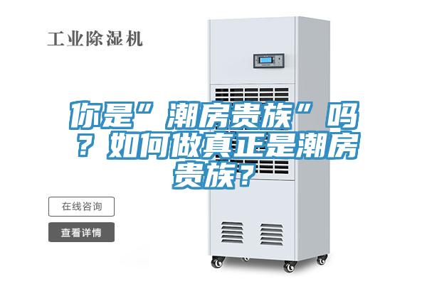 你是”潮房貴族”嗎？如何做真正是潮房貴族？
