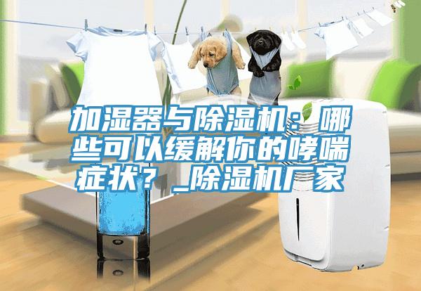加濕器與小黄片软件免费下载：哪些可以緩解你的哮喘症狀？_小黄片软件免费下载廠家