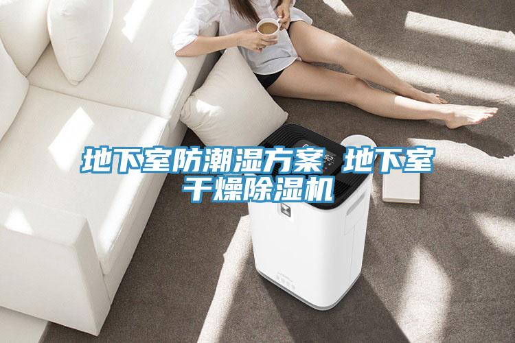 地下室防潮濕方案 地下室幹燥小黄片软件免费下载