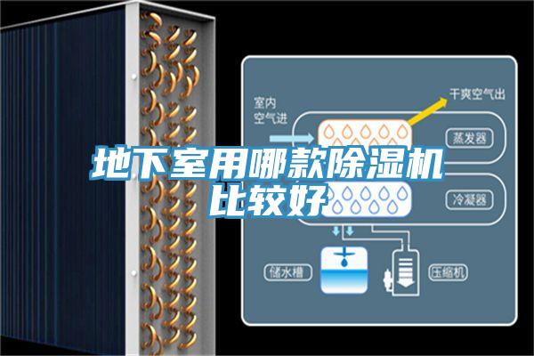 地下室用哪款小黄片软件免费下载比較好