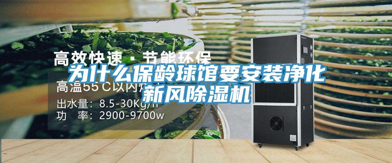 為什麽保齡球館要安裝淨化新風小黄片软件免费下载