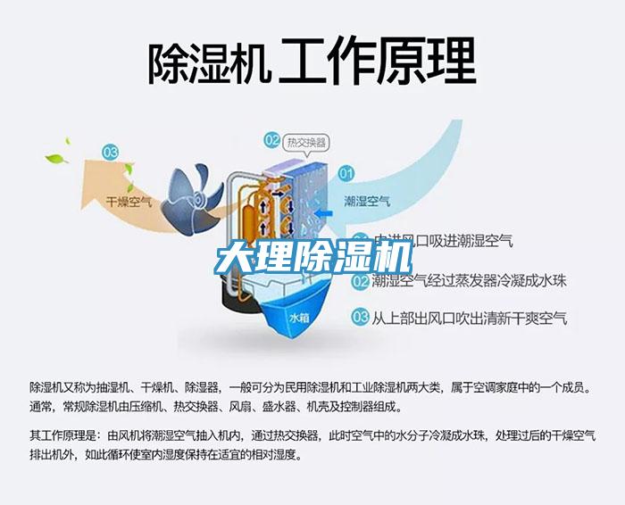 大理小黄片软件免费下载