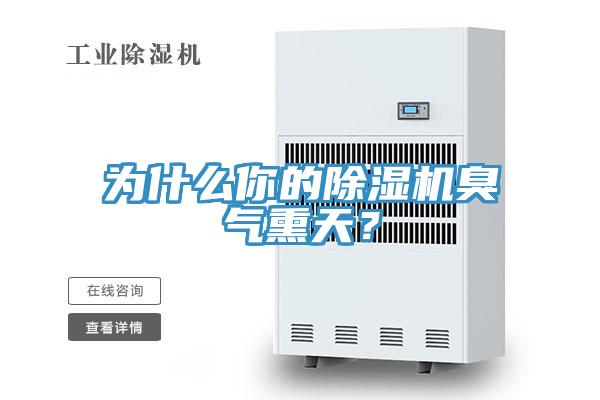 為什麽你的小黄片软件免费下载臭氣熏天？
