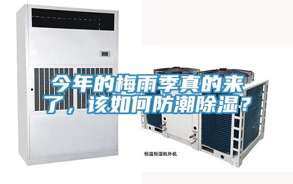 今年的梅雨季真的來了，該如何防潮除濕？