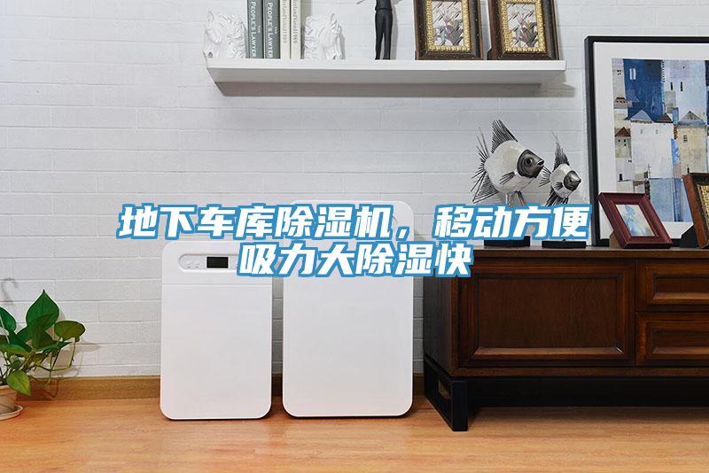 地下車庫小黄片软件免费下载，移動方便吸力大除濕快