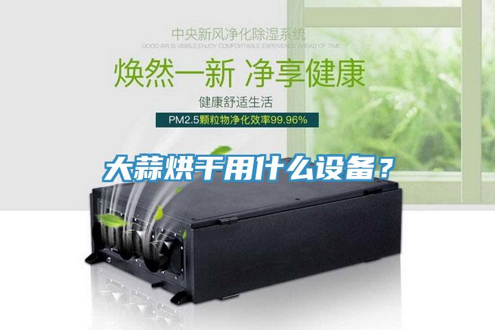 大蒜烘幹用什麽設備？