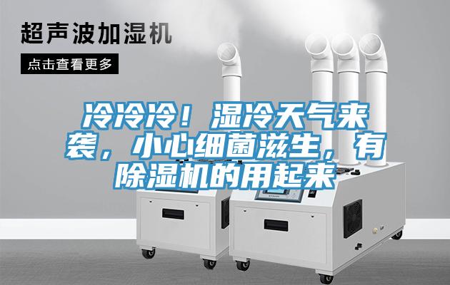 冷冷冷！濕冷天氣來襲，小心細菌滋生，有小黄片软件免费下载的用起來