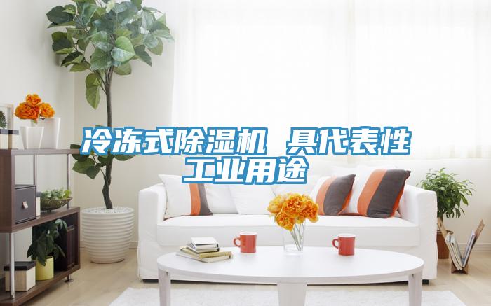 冷凍式小黄片软件免费下载 具代表性工業用途