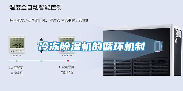 冷凍小黄片软件免费下载的循環機製