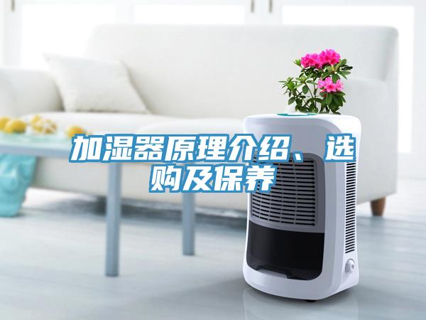 加濕器原理介紹、選購及保養