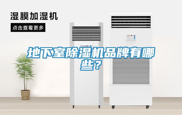地下室小黄片软件免费下载品牌有哪些？