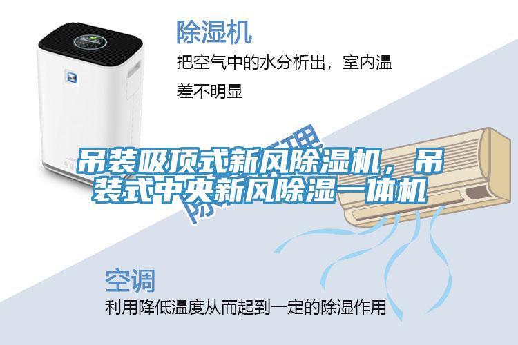 吊裝吸頂式新風小黄片软件免费下载，吊裝式中央新風除濕一體機