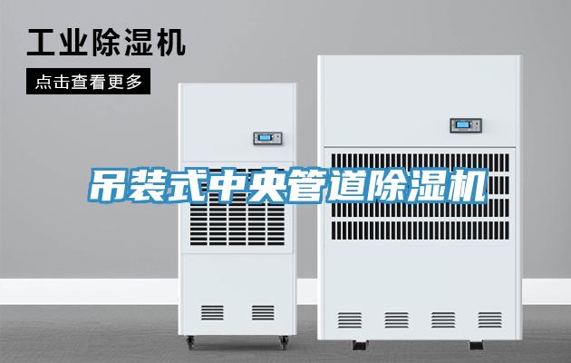 吊裝式中央管道小黄片软件免费下载
