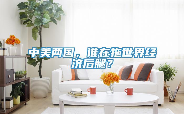 中美兩國，誰在拖世界經濟後腿？