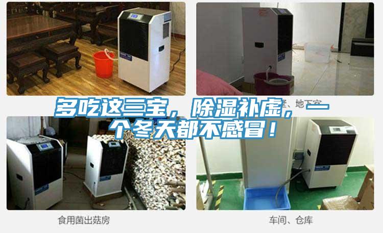 多吃這三寶，除濕補虛，一個冬天都不感冒！