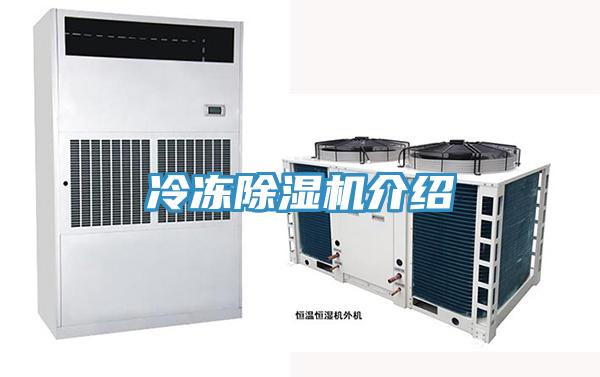冷凍小黄片软件免费下载介紹