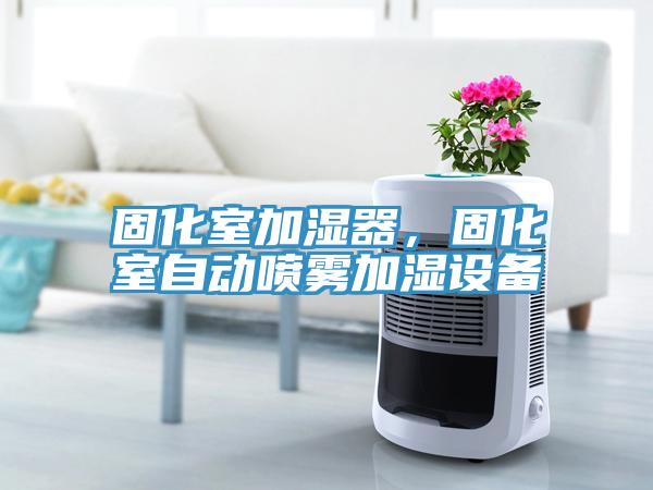 固化室加濕器，固化室自動噴霧加濕設備