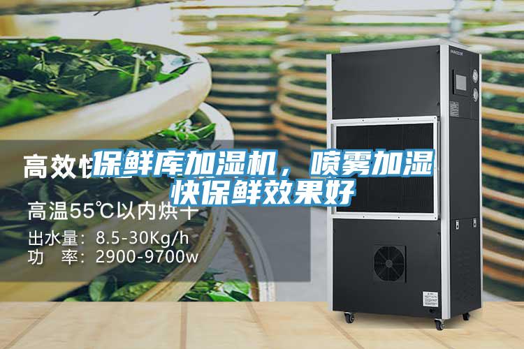保鮮庫加濕機，噴霧加濕快保鮮效果好