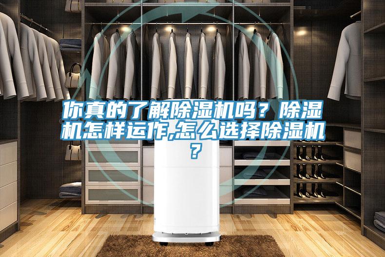 你真的了解小黄片软件免费下载嗎？小黄片软件免费下载怎樣運作,怎麽選擇小黄片软件免费下载？