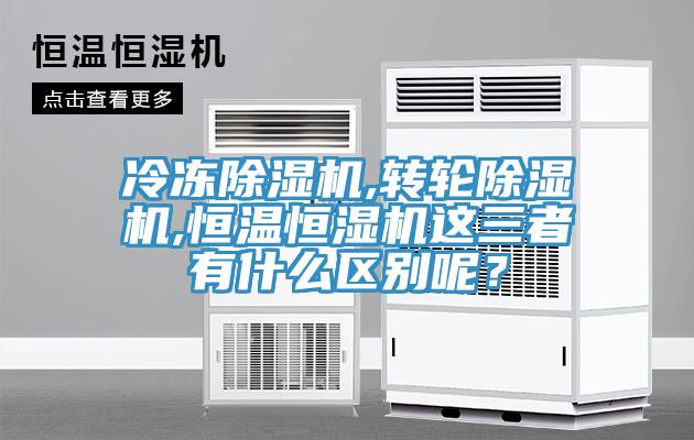 冷凍小黄片软件免费下载,轉輪小黄片软件免费下载,恒溫恒濕機這三者有什麽區別呢？