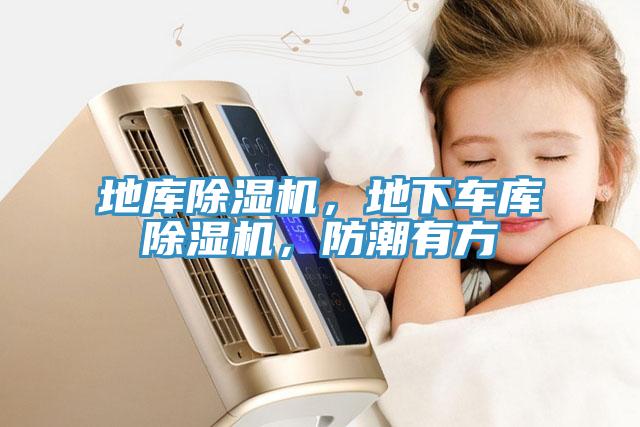 地庫小黄片软件免费下载，地下車庫小黄片软件免费下载，防潮有方