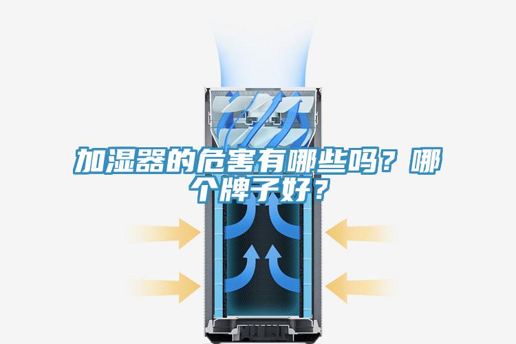 加濕器的危害有哪些嗎？哪個牌子好？