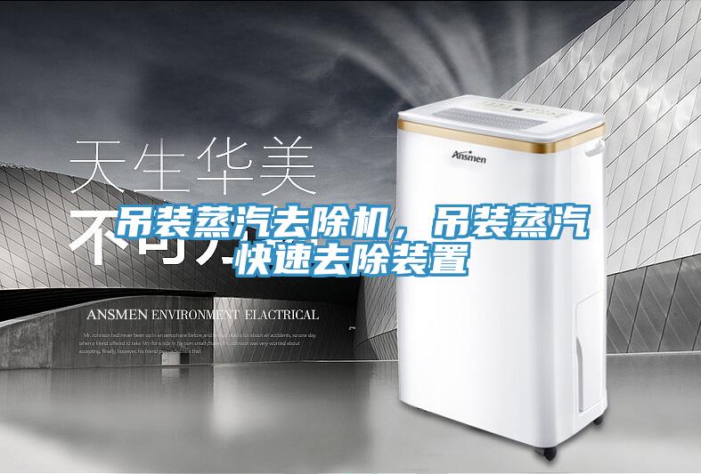 吊裝蒸汽去除機，吊裝蒸汽快速去除裝置