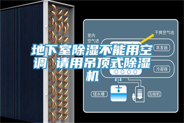 地下室除濕不能用空調 請用吊頂式小黄片软件免费下载