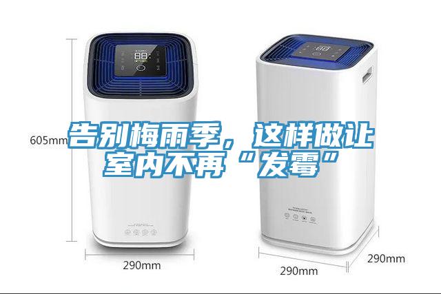 告別梅雨季，這樣做讓室內不再“發黴”