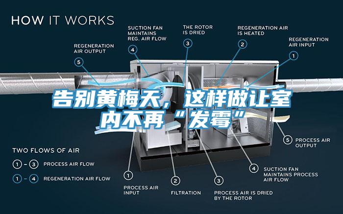 告別黃梅天，這樣做讓室內不再“發黴”