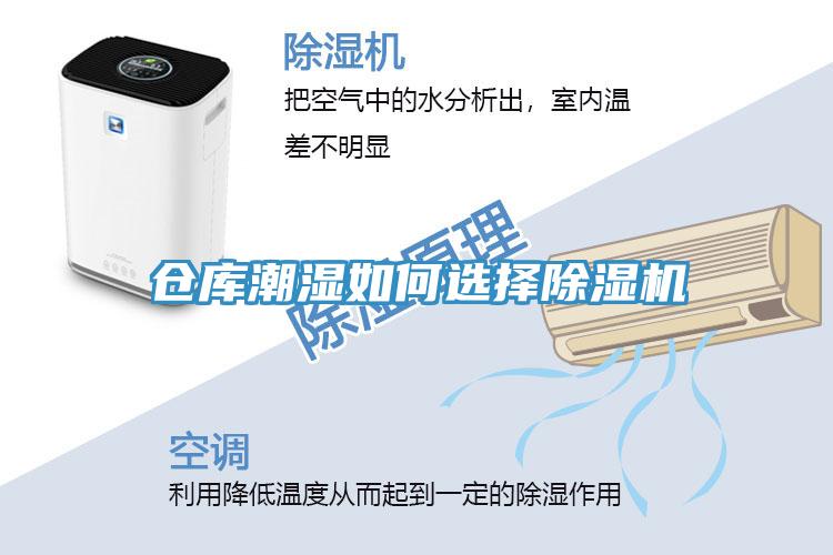倉庫潮濕如何選擇小黄片软件免费下载