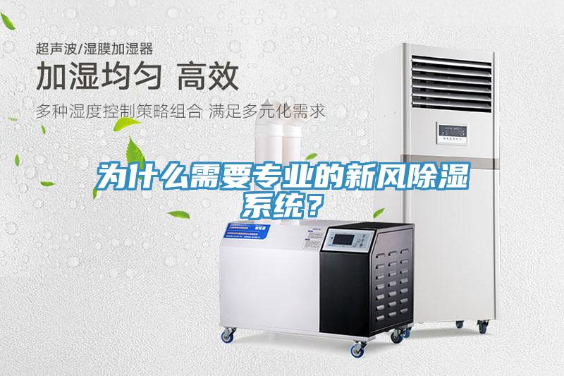 為什麽需要專業的新風除濕係統？