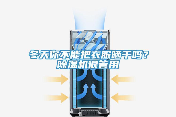 冬天你不能把衣服曬幹嗎？小黄片软件免费下载很管用