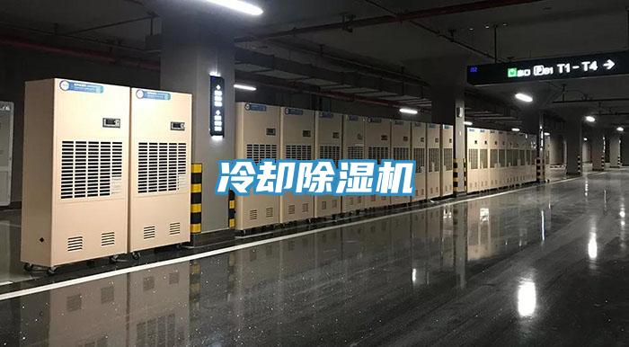 冷卻小黄片软件免费下载