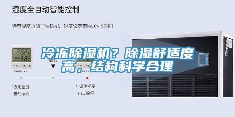 冷凍小黄片软件免费下载？除濕舒適度高，結構科學合理