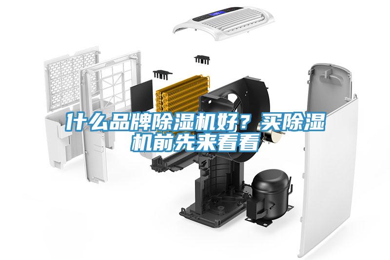 什麽品牌小黄片软件免费下载好？買小黄片软件免费下载前先來看看