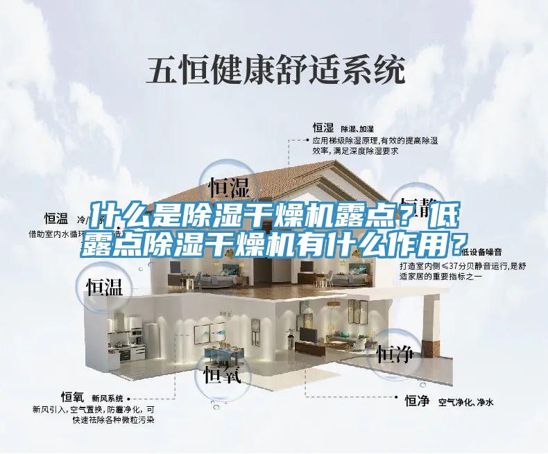 什麽是除濕幹燥機露點？低露點除濕幹燥機有什麽作用？