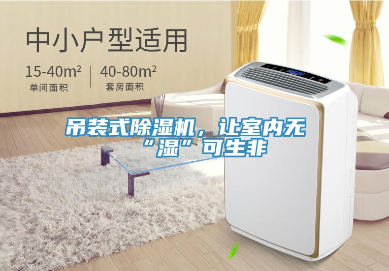 吊裝式小黄片软件免费下载，讓室內無“濕”可生非