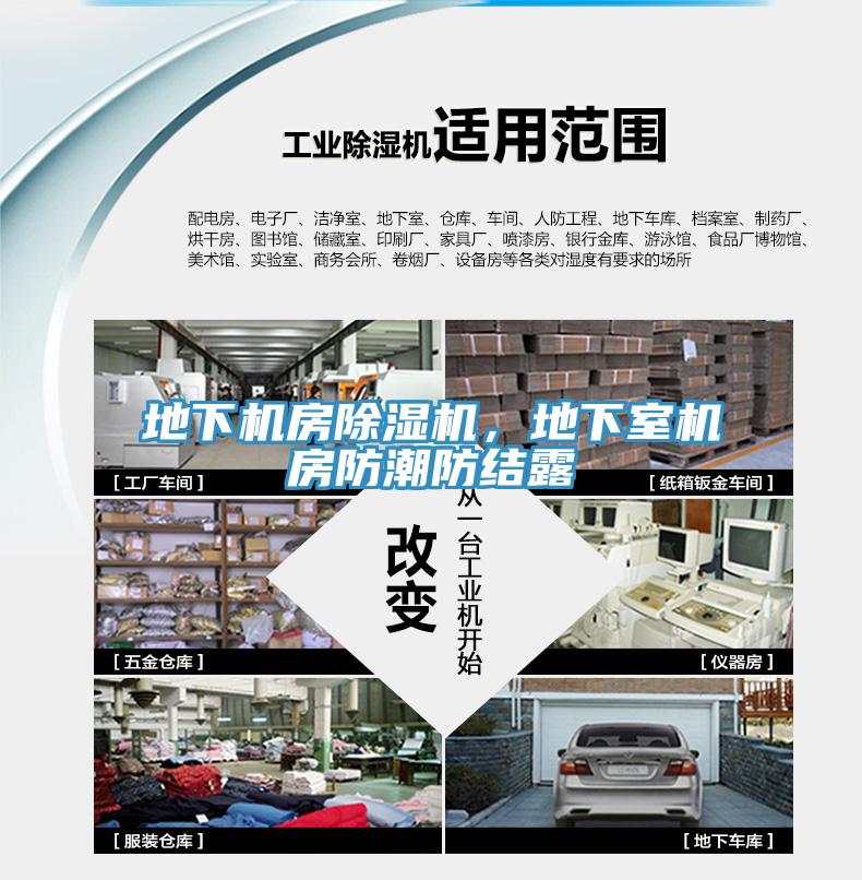 地下機房小黄片软件免费下载，地下室機房防潮防結露
