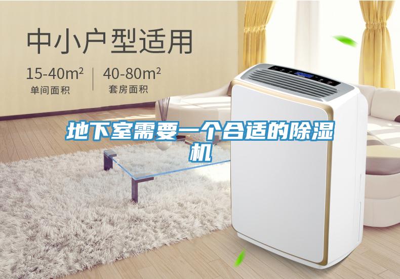 地下室需要一個合適的小黄片软件免费下载