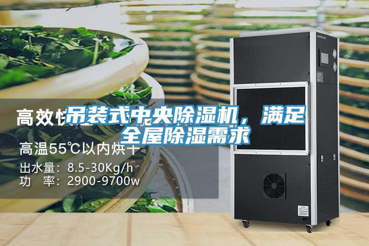 吊裝式中央小黄片软件免费下载，滿足全屋除濕需求