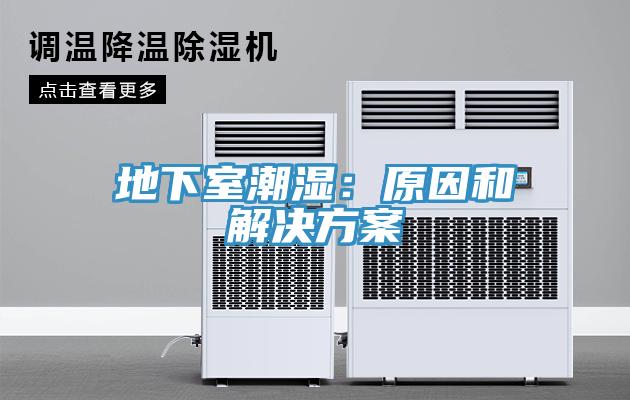地下室潮濕：原因和解決方案