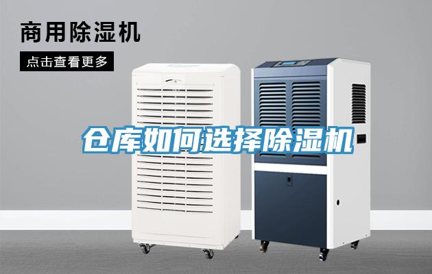 倉庫如何選擇小黄片软件免费下载