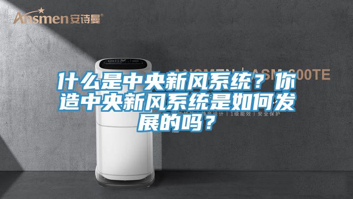 什麽是中央新風係統？你造中央新風係統是如何發展的嗎？
