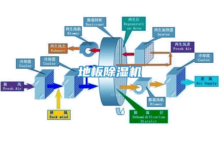 地板小黄片软件免费下载