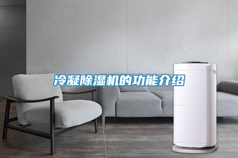 冷凝小黄片软件免费下载的功能介紹