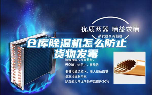 倉庫小黄片软件免费下载怎麽防止貨物發黴