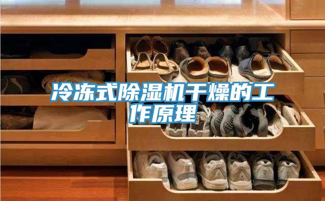 冷凍式小黄片软件免费下载幹燥的工作原理